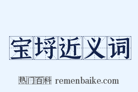 宝埒近义词是什么意思的图片